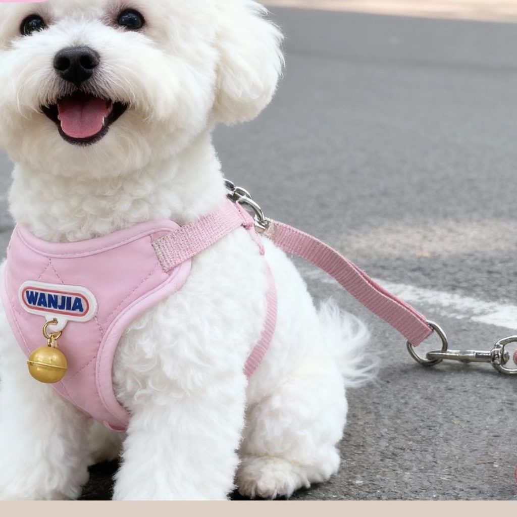 Puppy Harness & Leash Set