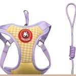 Check-Panel Mesh Harness 5