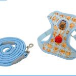 Cartoon Capybara Harness 3