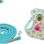 Cartoon Capybara Harness 4